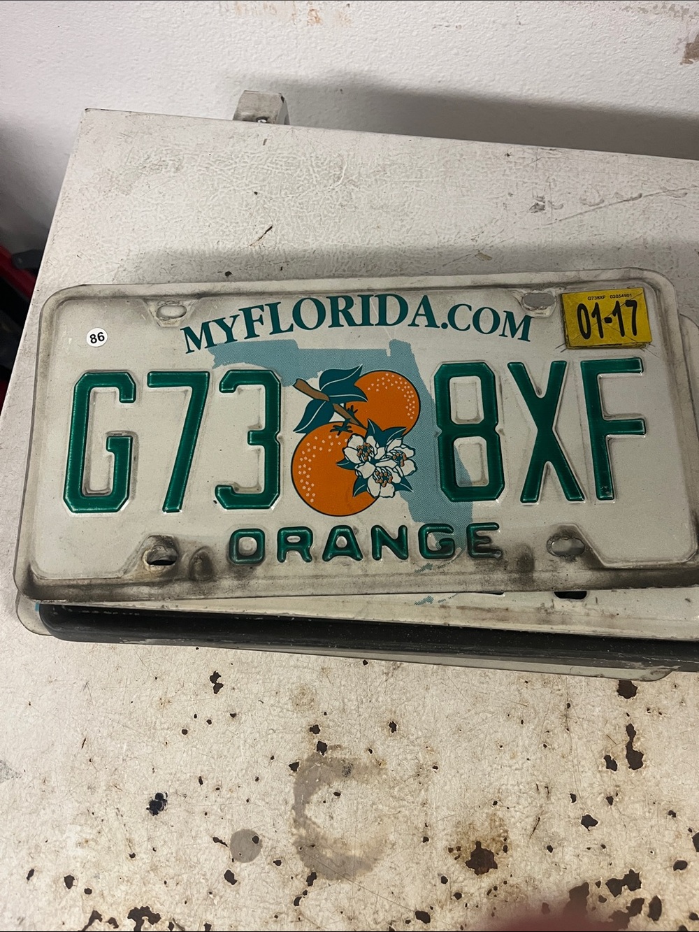 Florida Orange License Plate - Green & Orangebitem 87